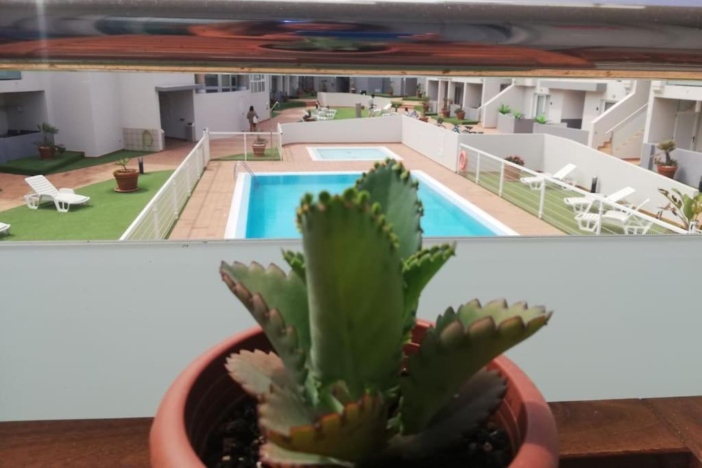 Blue Ocean Corralejo: Sunny Terrace, Pool, Wifi Apartman Kültér fotó